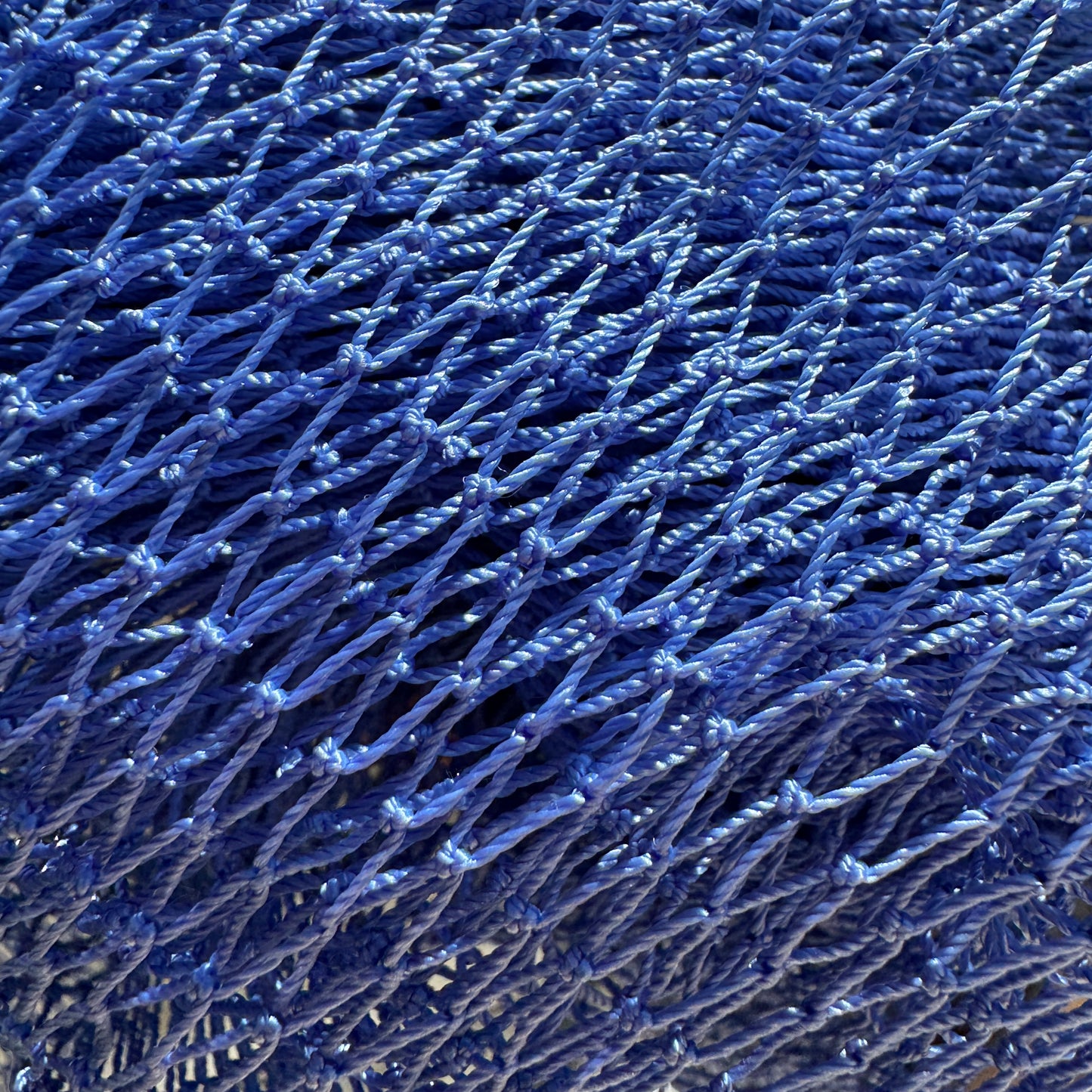 African Net Sponge